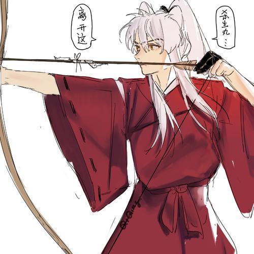 探究《犬夜叉》游戏中杀生丸的技能属性（以《奈落之战》为例，解析杀生丸的能力特点）