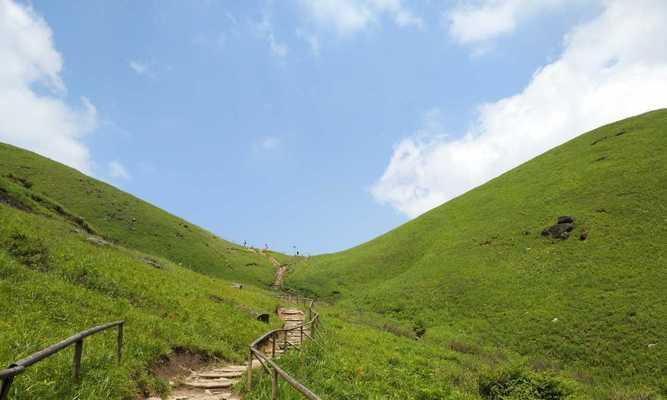 山免大暴走攻略（享受山间清新空气，释放压力，塑造健康身心）