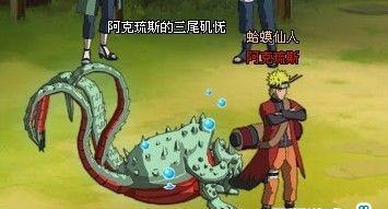 火影疾风坛洗练攻略（掌握洗练技巧，打造无敌战斗力！）