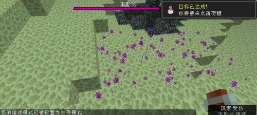 我的世界龙息有什么用,我的世界中的高级炼药材料及其用途