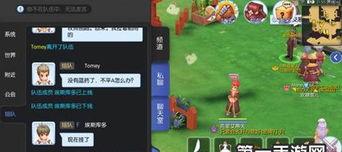 仙境传说手游攻略,职业选择、升级技巧与社交互动全解析
